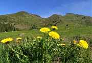 Anello Laghi di Ponteranica-Monte Avaro dai Piani il 3 giugno 2020  - FOTOGALLERY